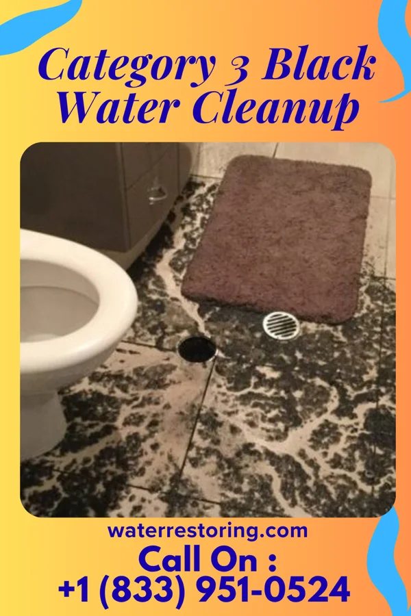 Category 3 Black Water Cleanup in McGregor, IA