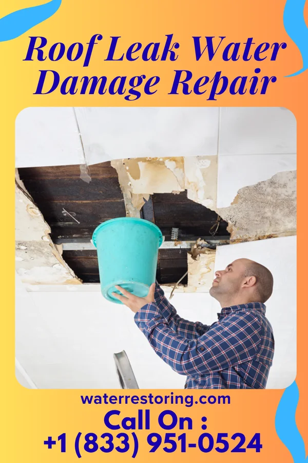 Roof Leak Water Damage Repair in McGregor, IA